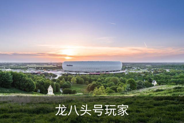 龙八头号玩家公司简介